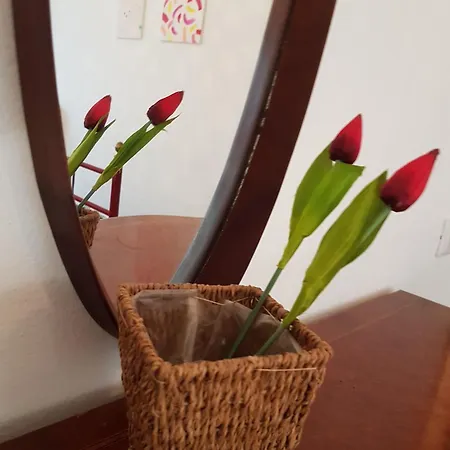 דירה Casa Marisa אלבניה