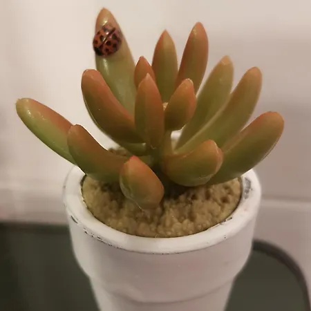 דירה Casa Marisa *